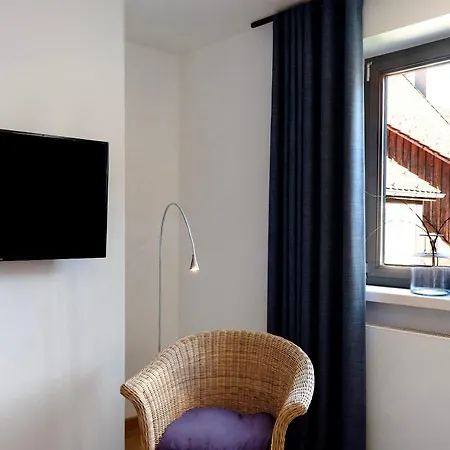 1 Zimmer-appartment Nr 21 * Wangen im Allgäu